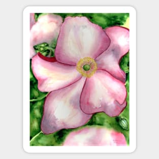 Anemone Sticker